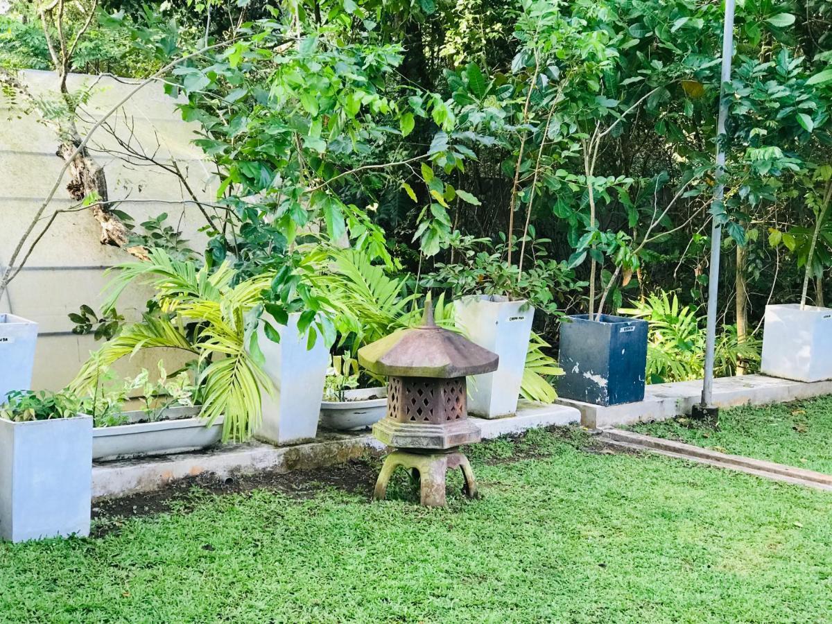 Ceylon Kingsmen Garden Hotel - Katunayake Negombo Eksteriør billede