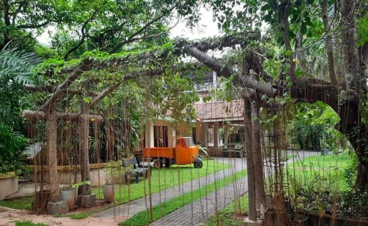 Ceylon Kingsmen Garden Hotel - Katunayake Negombo Eksteriør billede