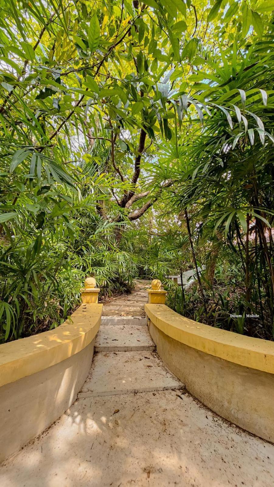 Ceylon Kingsmen Garden Hotel - Katunayake Negombo Eksteriør billede