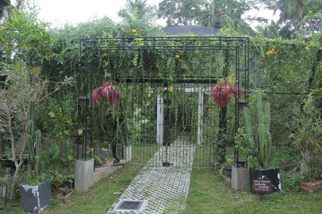 Ceylon Kingsmen Garden Hotel - Katunayake Negombo Eksteriør billede
